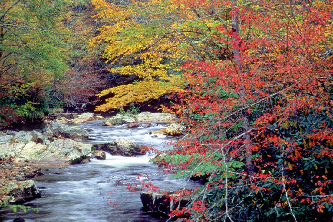 Tennessee mountain stream